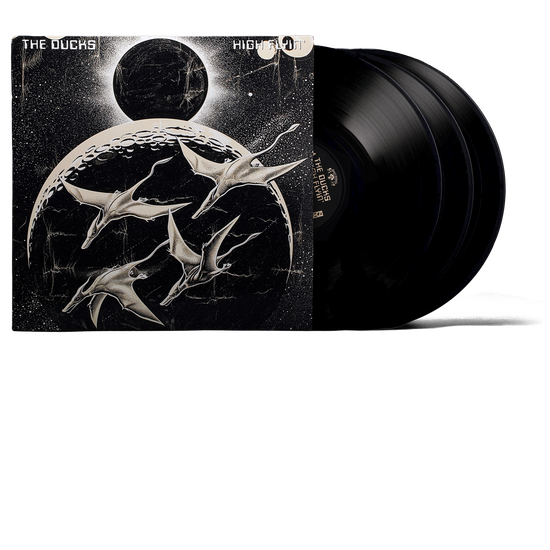 High Flyin' (OBS 2)The Ducksレコード Amazon.co.jp: High Flyin' OBS 2 The Ducksレコード : おもちゃ